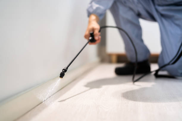 Licensed Fumigation Services service in Angwin, CA - Nex Pest Control