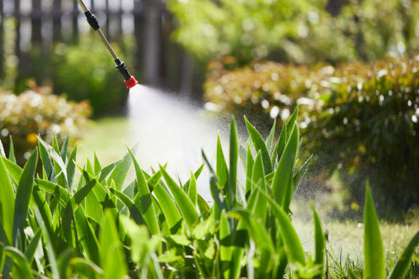 24/7 Emergency Fumigation Services experts in Angwin, CA