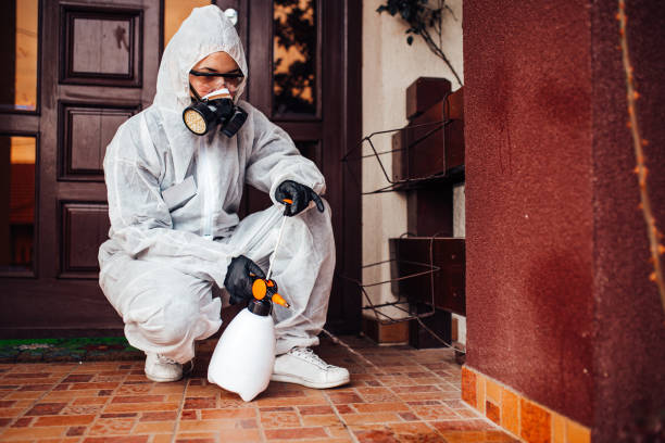 Reliable Fumigation Services contractor in Angwin, CA by Nex Pest Control