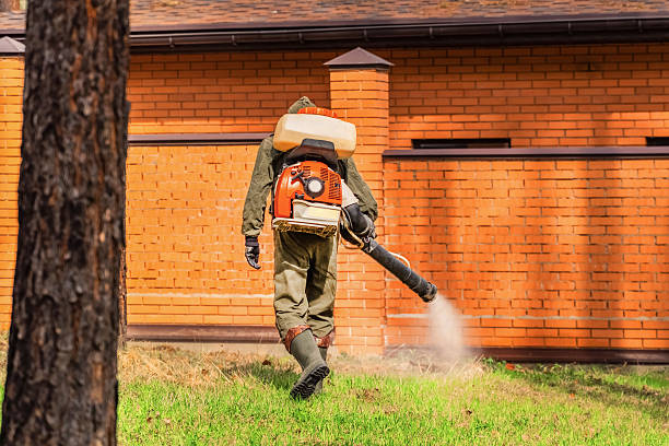 Top rated local Fumigation Services specialists in Angwin, CA